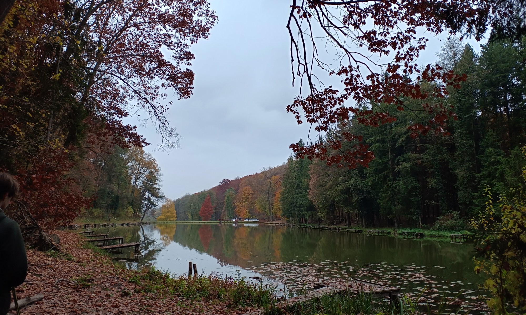 Funfield- somogyi túra Tókaji parkerdő